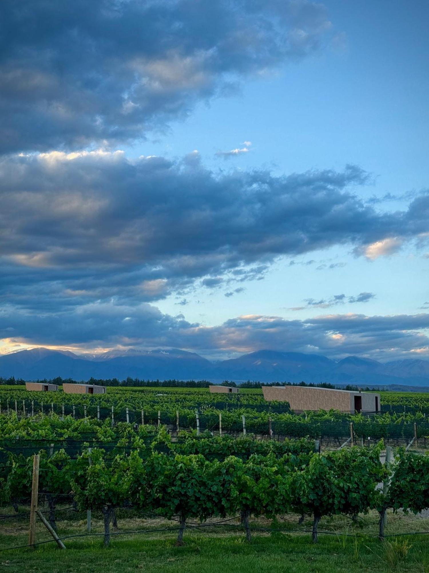 Andeluna Winery Lodge Tupungato Exterior foto